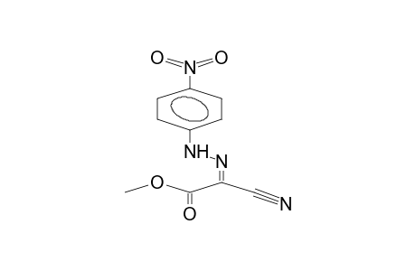 METHYL (Z)-2-(4-NITROPHENYL)HYDRAZONO-3-CYANOACETATE