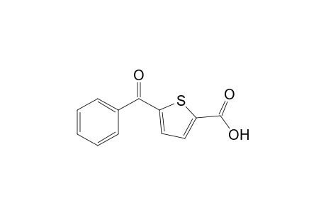 5-Benzoylthiophene-2-carboxylic acid