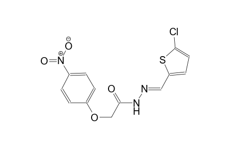 N'-[(E)-(5-chloro-2-thienyl)methylidene]-2-(4-nitrophenoxy)acetohydrazide