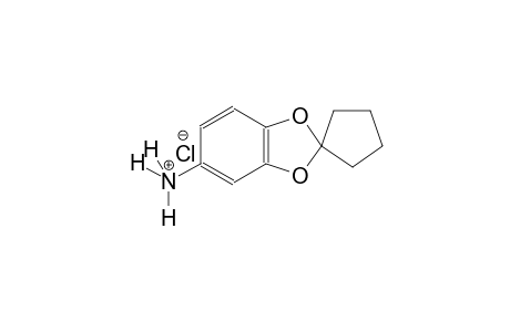 spiro[benzo[d][1,3]dioxole-2,1'-cyclopentan]-5-aminium chloride
