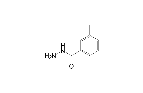 3-Methylbenzohydrazide