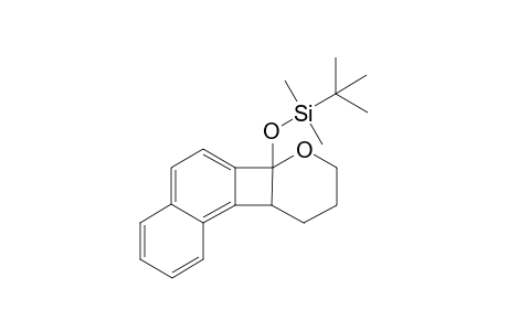 2-[(t-Butyldimethylsilyl)oxy]-naphthaleno[3,4-b]cyclobuteno[2,3-a](perhydro)pyran