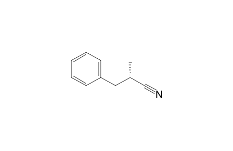 (2S)-2-methyl-3-phenylpropanenitrile