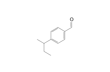 4-(s-Butyl)benzaldehyde