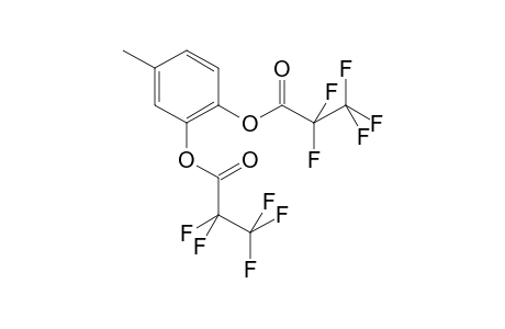 4-Methylcatechol 2PFP