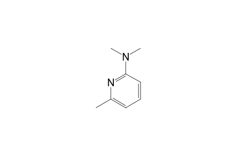 2-DIMETHYLAMINO-6-METHYLPYRIDINE