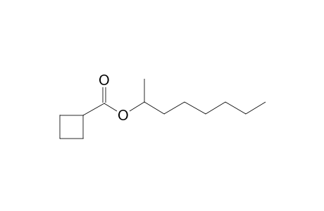 1-Methylheptyl cyclobutanecarboxylate