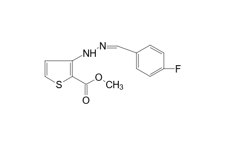 3-[(p-fluorobenzylidene)hydrazino]-2-thiophenecarboxylic acid, methyl ester