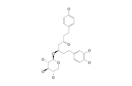 ALNUSIDE-A;(5S)-7-(3,4-DIHYDROXYPHENYL)-5-HYDROXY-1-(4-HYDROXYPHENYL)-3-HEPTANONE-5-O-BETA-D-XYLOPYRANOSIDE