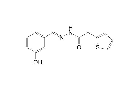2-thiopheneacetic acid, 2-[(E)-(3-hydroxyphenyl)methylidene]hydrazide