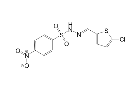 N'-[(E)-(5-chloro-2-thienyl)methylidene]-4-nitrobenzenesulfonohydrazide