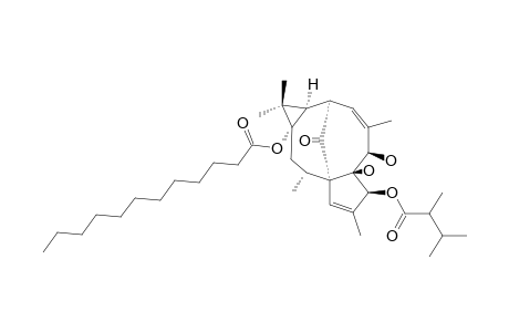 3-O-(2,3-Dimethylbutanoyl)-13-O-dodecanoyl-20-deoxyingenol