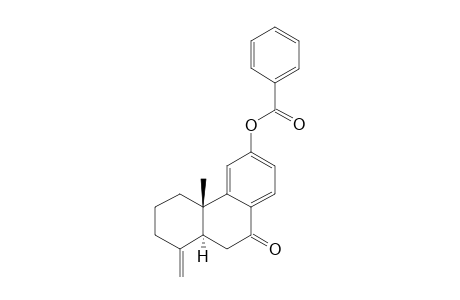 7-Oxo-19-norpodocarpa-4(18),8,11,13-tetraen-12-yl Benzoate