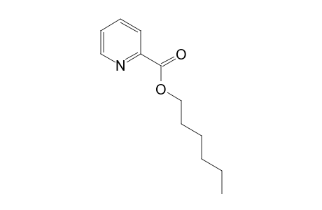 2-Pyridinecarboxylic acid, hexyl ester