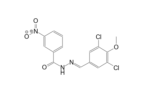 N'-[(E)-(3,5-dichloro-4-methoxyphenyl)methylidene]-3-nitrobenzohydrazide