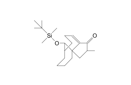 (2R,3AS, 8S,12S)-12-(T-butyl-dimethyl-silyloxy)-octahydro-2-methyl-3a,8-methano-3ah-cyclopentacyclododecen-1(4H)-one