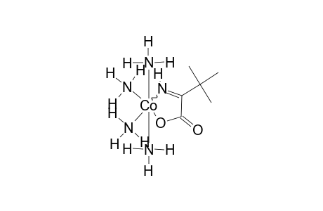 (2-IMINO-3,3-DIMETHYLBUTANOATO)-TETRAAMINECOBALT(III)