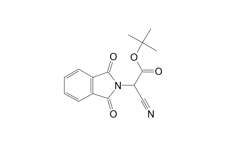 2-cyano-2-(1,3-dioxo-2-isoindolyl)acetic acid tert-butyl ester