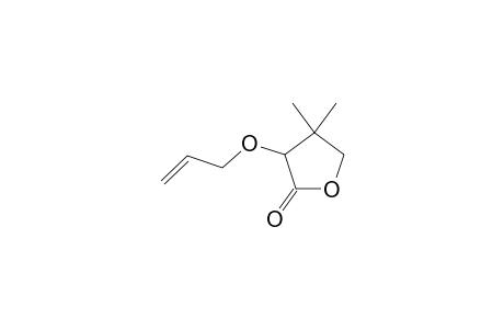 3-ALLYLOXY-DIHYDRO-4,4-DIMETHYL-2(3H)-FURANONE
