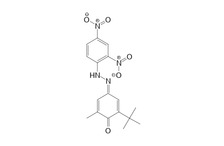 2,5-Cyclohexadiene-1,4-dione, 2-(1,1-dimethylethyl)-6-methyl-, 4-[(2,4-dinitrophenyl)hydrazone]