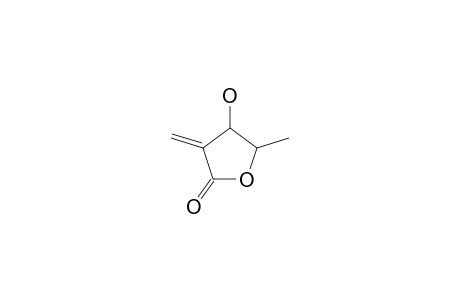 4-HYDROXY-5-METHYL-3-METHYLENEDIHYDROFURAN-2-(3H)-ONE