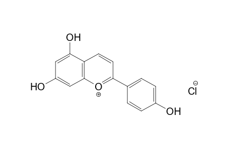 4',5,7-trihydroxyflavylium chloride