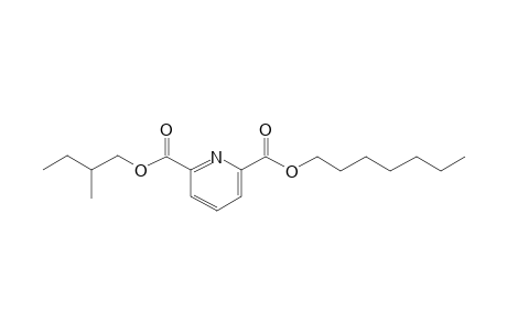 2,6-Pyridinedicarboxylic acid, heptyl 2-methylbutyl ester