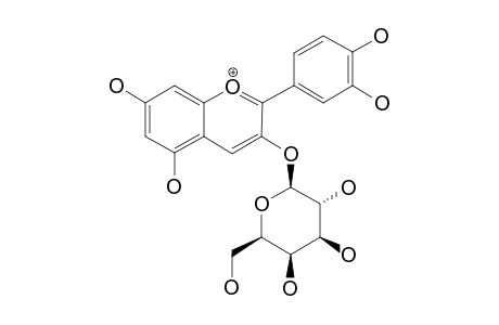 CYANIDIN-3-O-BETA-GALACTOPYRANOSIDE