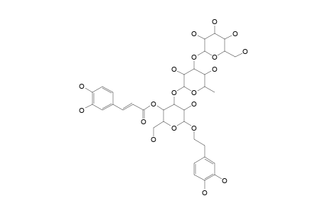 CAERULESCENOSIDE;3,4-DIHYDROXY-BETA-PHENYLETHOXY-O-BETA-GLUCOPYRANOSYL-(1->3)-ALPHA-RHAMNOPYRANOSYL-(1->3)-4-O-CAFFEOYL-BETA-GLUCOPYRANOSIDE