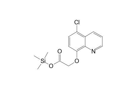 [(5-Chloro-8-quinolinyl)oxy]acetic acid, trimethylsilyl ester