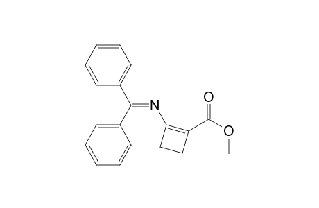 2-(benzhydrylideneamino)cyclobutene-1-carboxylic acid methyl ester