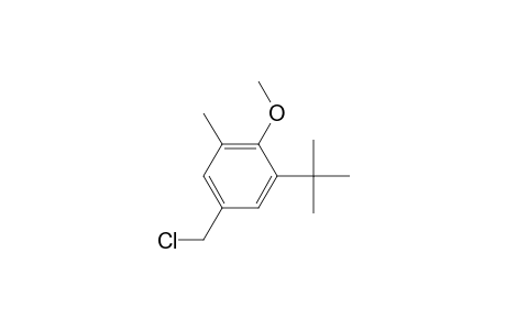 1-Methoxy-4-(chloromethyl)-2-tert-butyl-6-methylbenzene