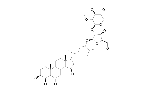 CERTONARDOSIDE-H3;(24S)-24-O-[2-O-METHYL-BETA-D-XYLOPYRANOSYL-(1->2)-BETA-D-XYLOFURANOSYL]-5-ALPHA-CHOLESTANE-3-BETA,4-BETA,6-ALPHA,15-BETA,24-