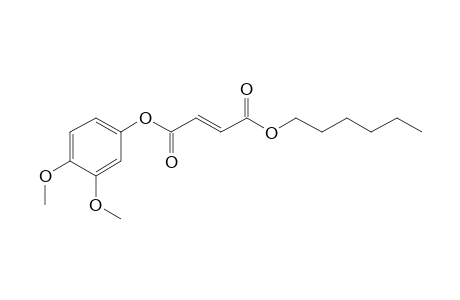 Fumaric acid, 3,4-dimethylphenyl hexyl ester