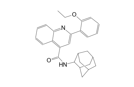 N-(2-adamantyl)-2-(2-ethoxyphenyl)-4-quinolinecarboxamide