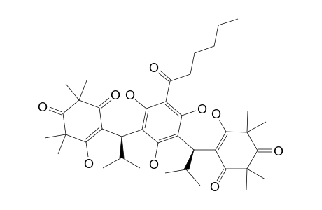 MYRTUCOMMULONE_F