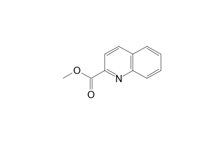 2-Quinolinecarboxylic acid methyl ester