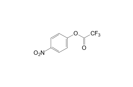 trifluoroacetic acid, p-nitrophenyl ester