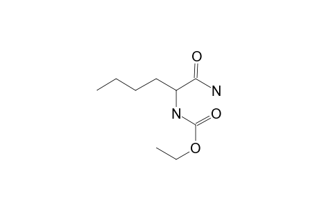 dl-Norleucinamide, N-ethoxycarbonyl-