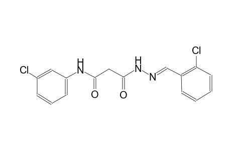 beta-alanine, N-(3-chlorophenyl)-3-oxo-, 2-[(E)-(2-chlorophenyl)methylidene]hydrazide