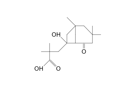 7-(2-Carboxy-2,2-dimethyl-ethyl)-7-hydroxy-1,3,3 -trimethyl-bicyclo(4.2.1)nonan-5-one