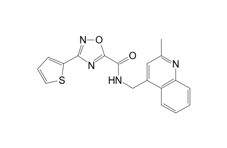 1,2,4-Oxadiazole-5-carboxamide, N-[(2-methyl-4-quinolinyl)methyl]-3-(2-thienyl)-