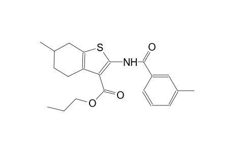 propyl 6-methyl-2-[(3-methylbenzoyl)amino]-4,5,6,7-tetrahydro-1-benzothiophene-3-carboxylate