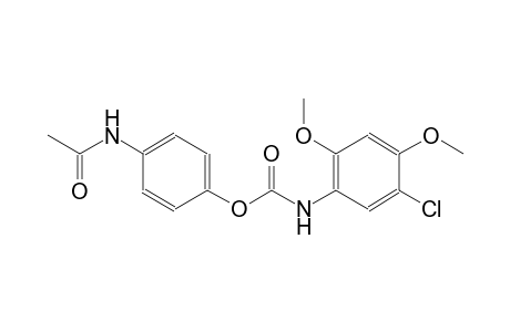 4-(acetylamino)phenyl 5-chloro-2,4-dimethoxyphenylcarbamate