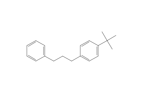 1-tert-Butyl-4-(3-phenylpropyl)benzene
