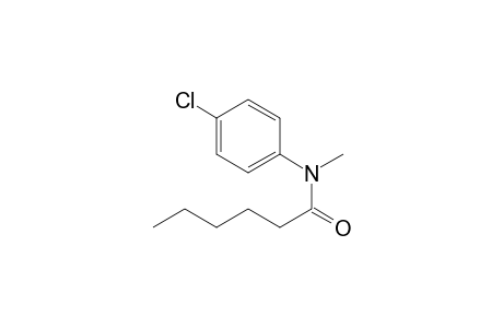 N-(4-Chlorophenyl)-N-methylhexanamide