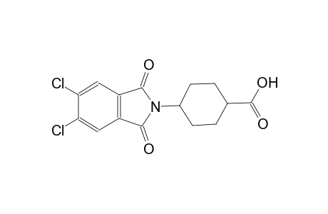 cyclohexanecarboxylic acid, 4-(5,6-dichloro-1,3-dihydro-1,3-dioxo-2H-isoindol-2-yl)-