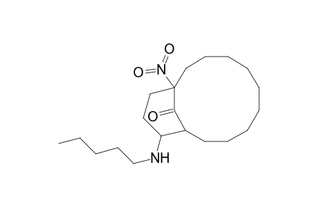 Bicyclo[9.3.1]pentadecan-15-one, 1-nitro-12-(pentylamino)-
