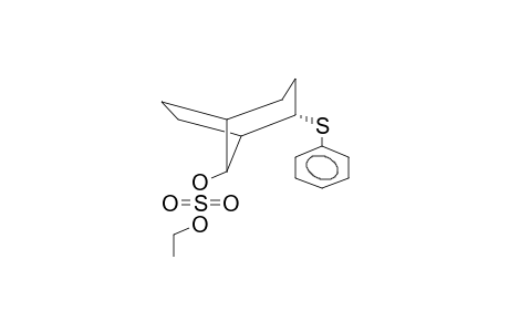 2E-PHENYLTHIOBICYCLO[3.2.1]OCTAN-ANTI-8-OL, ETHYLSULPHATE