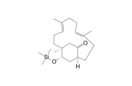 (1S,4E,8E,12S,16S)-4,8,12-trimethyl-16-trimethylsilyloxy-14-bicyclo[10.2.2]hexadeca-4,8-dienone